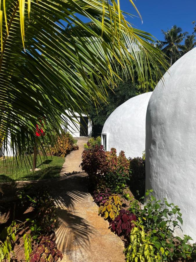 Хостел Camp Taveuni Матей Екстер'єр фото