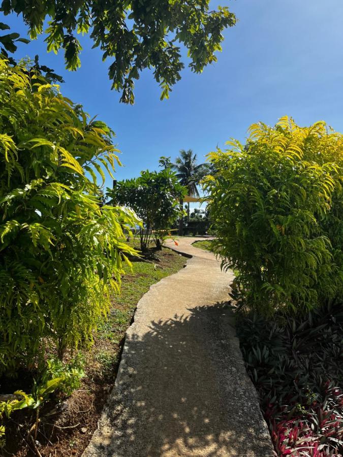 Хостел Camp Taveuni Матей Екстер'єр фото